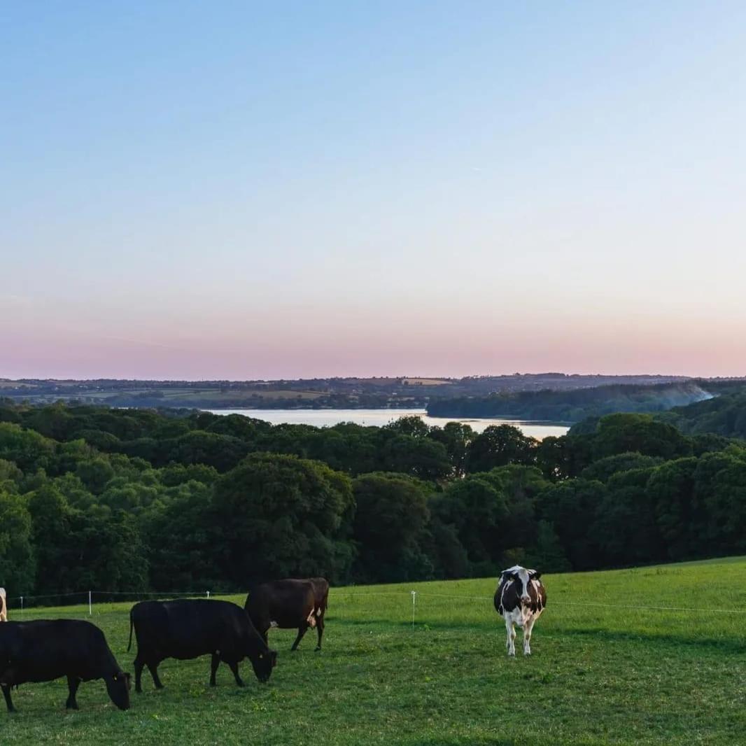 Broomhill Barns Minwear 外观 照片